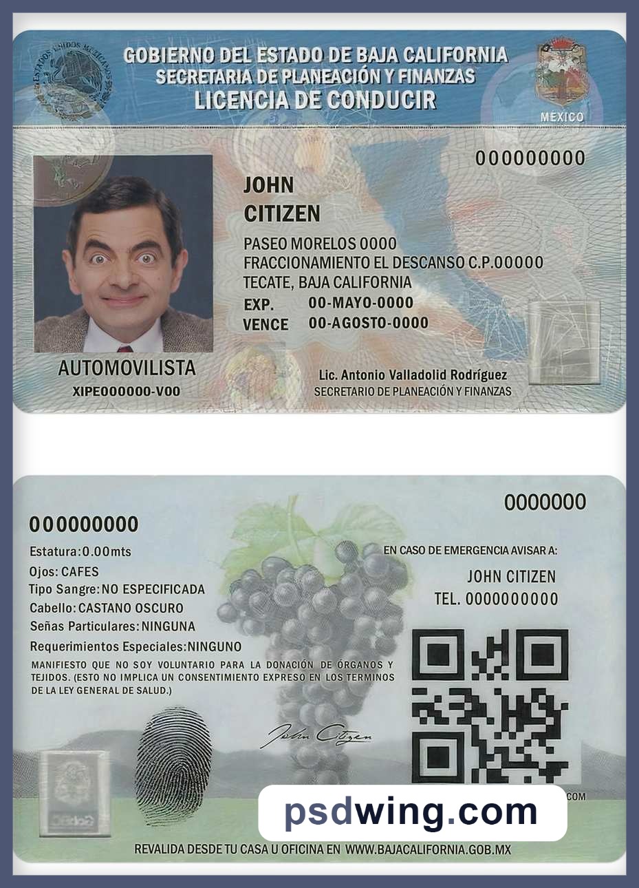 Mexico Baja California Driving License